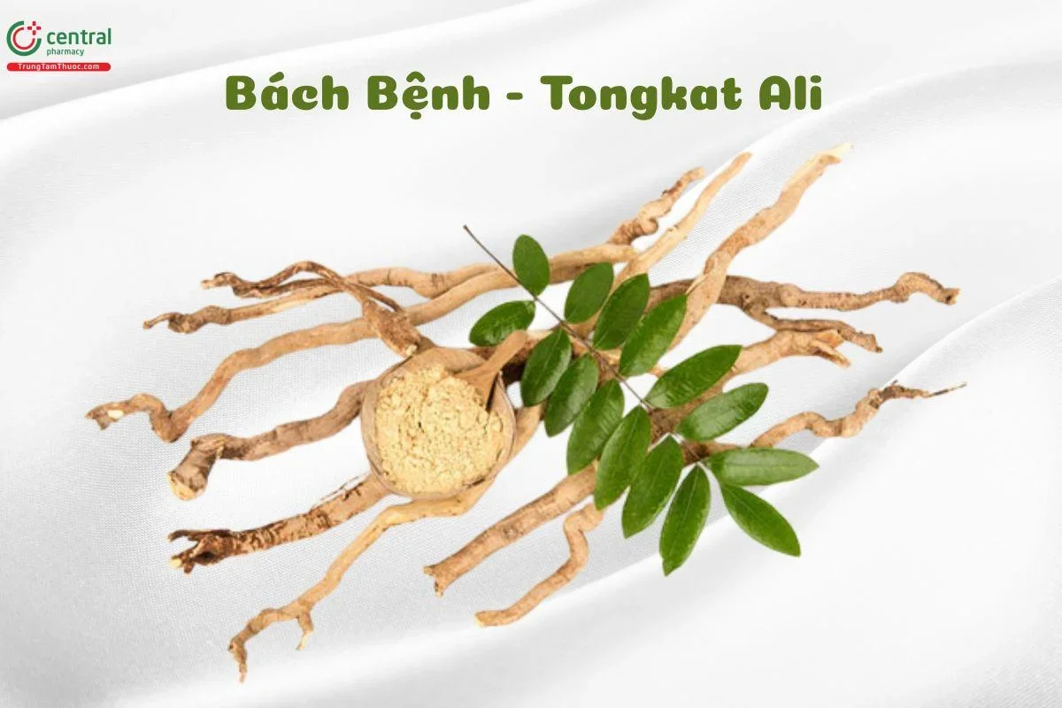 top 10 thuốc tăng kích thước cậu nhỏ (18)