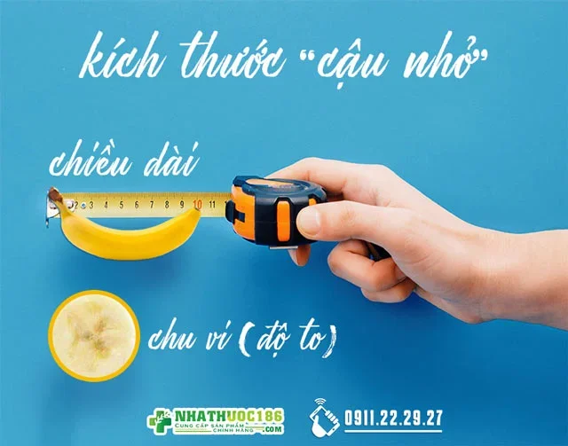 Kích thước dương vật là gì ?