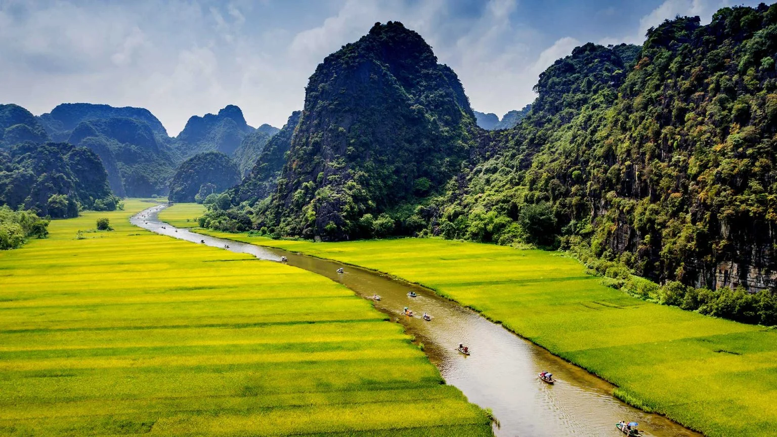 phong cảnh thiên nhiên thung lũng lúa xanh mướt uốn lượn quanh chân núi