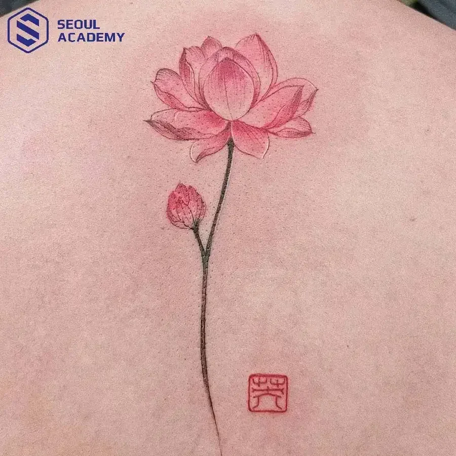 Top 99+ Mẫu hình xăm hoa sen nhẹ nhàng, tinh tế cho nữ 2026