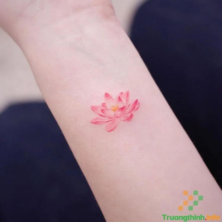 1️⃣】 Ý nghĩa hình xăm hoa sen? Những mẫu hình xăm hoa sen mini đẹp nhất ™