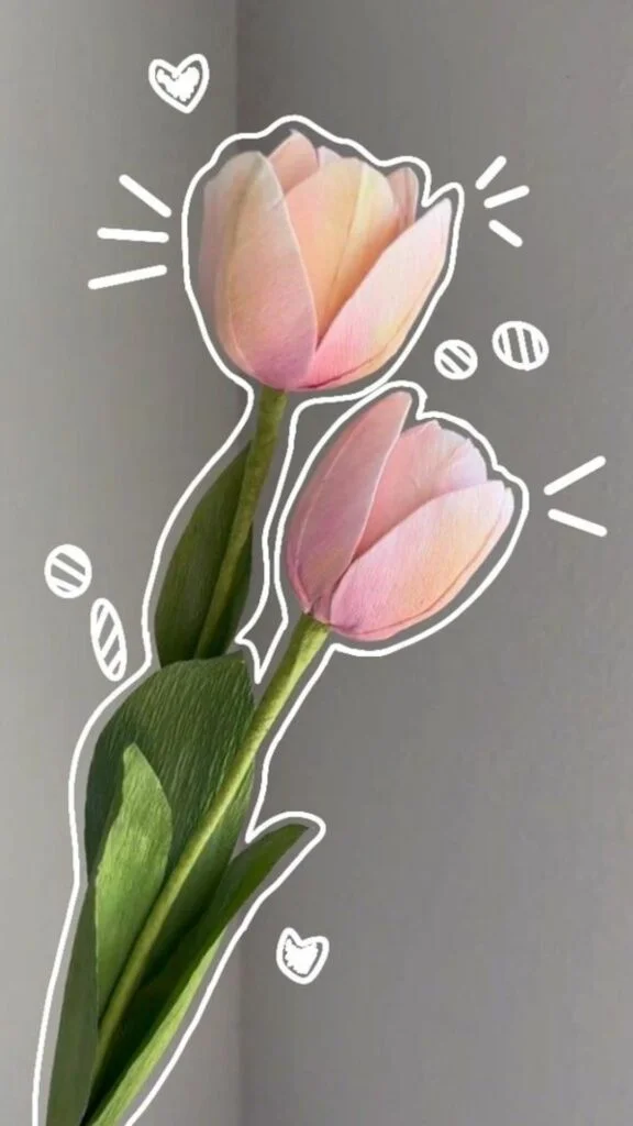 hinh nen hoa tulip 27