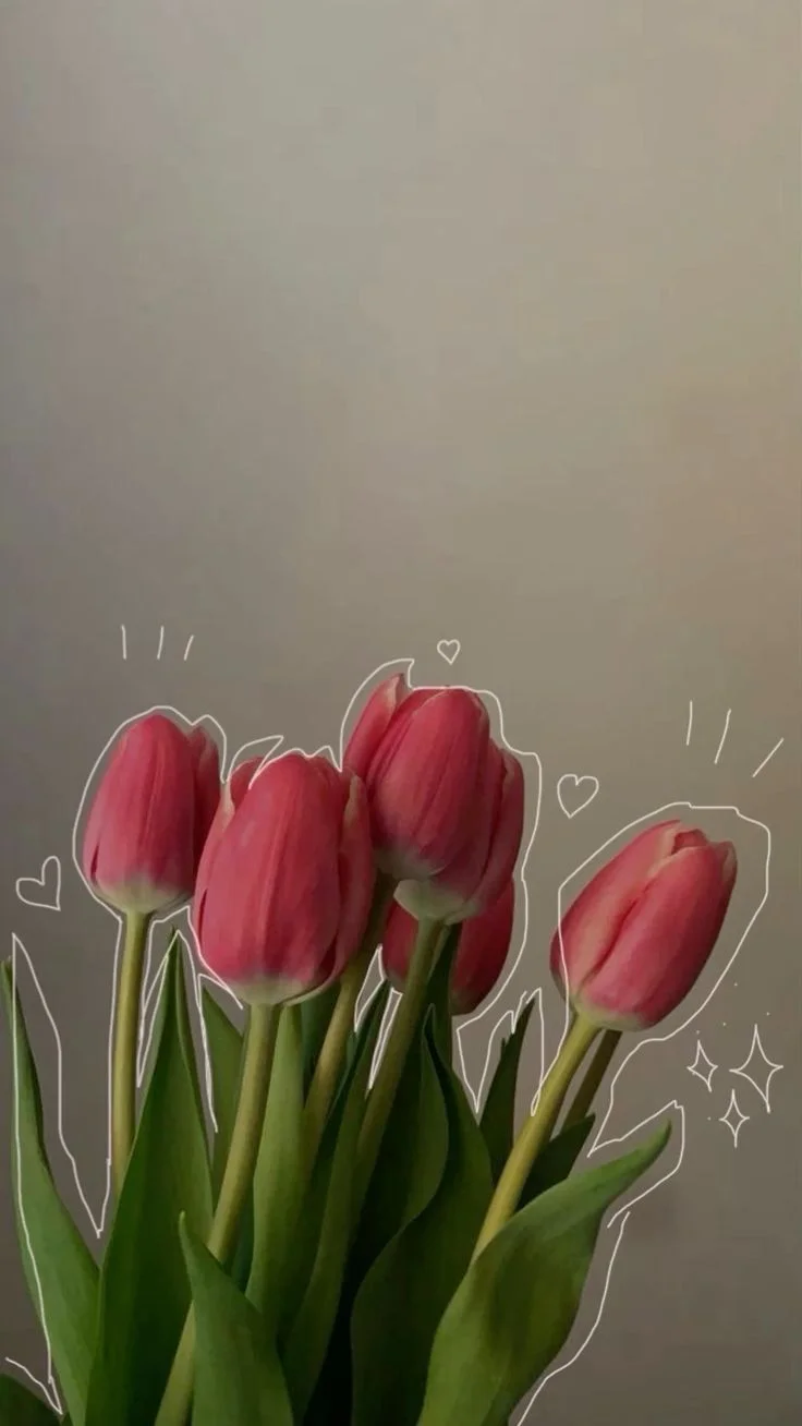 hình nền hoa tulip chill 3