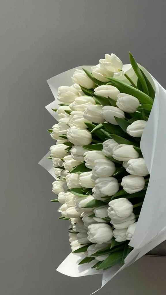 hinh nen hoa tulip 9